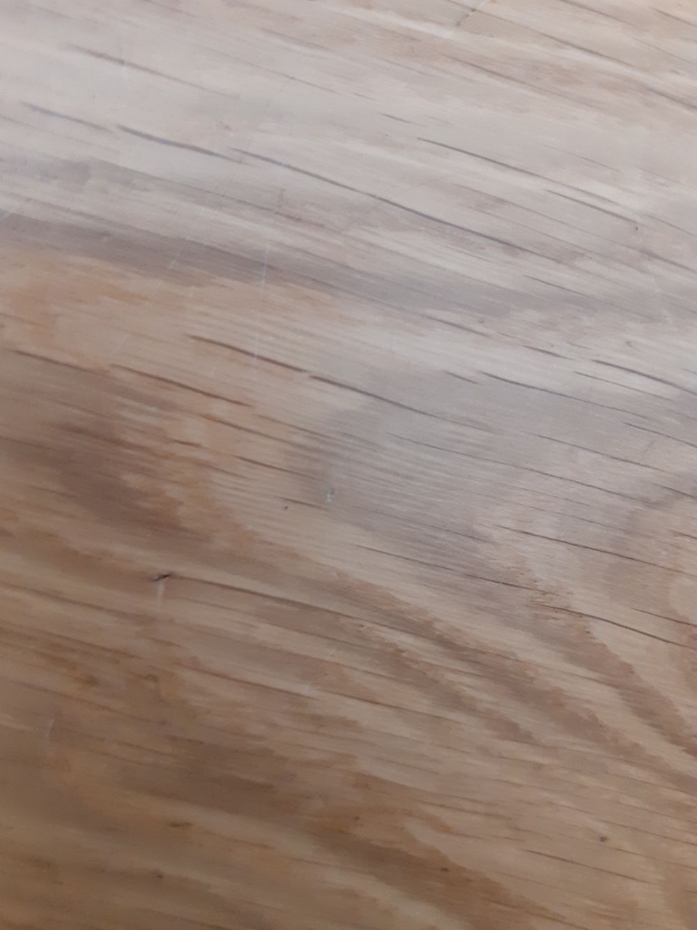 blackdickking OnlyFans profile picture