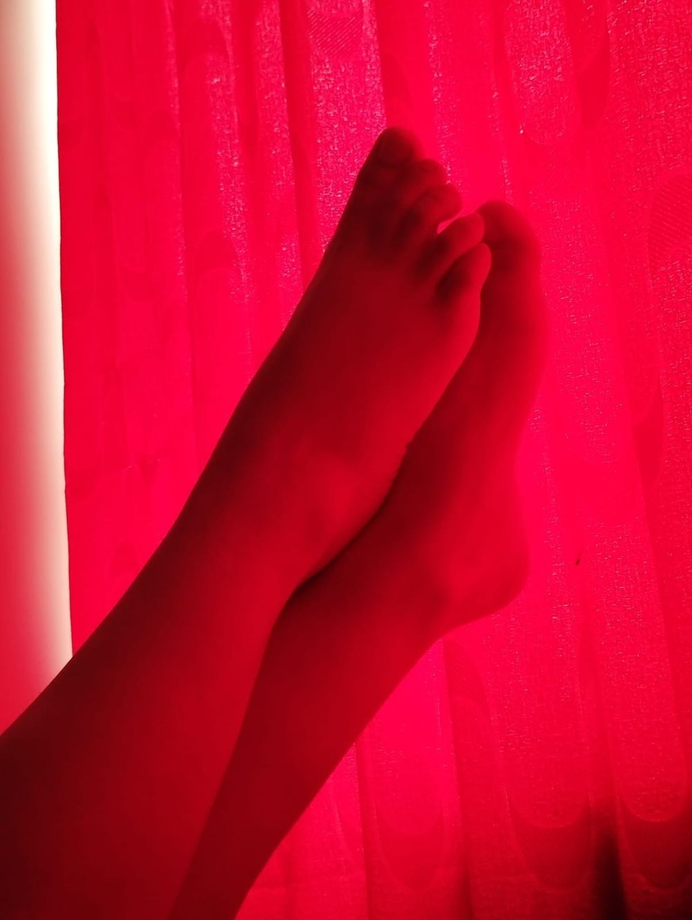 leila_778 OnlyFans profile picture