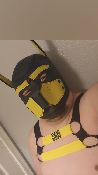 bigguy_az OnlyFans picture