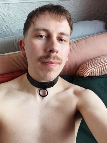 beauarcher OnlyFans profile picture