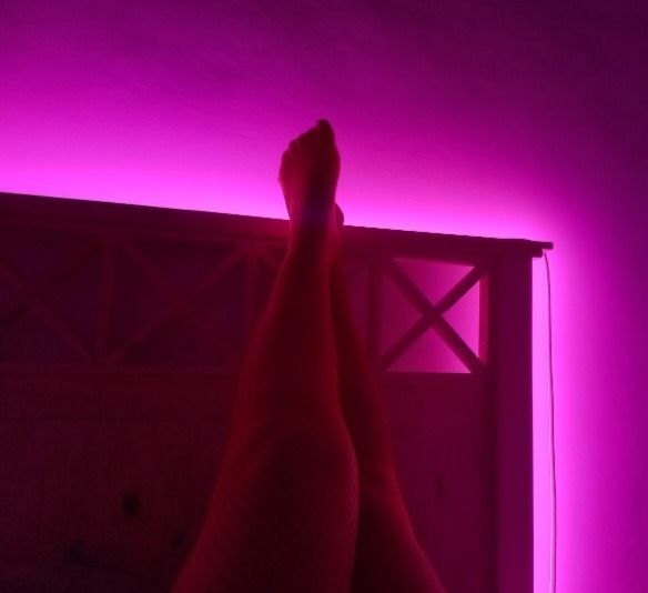 veneciah OnlyFans profile picture