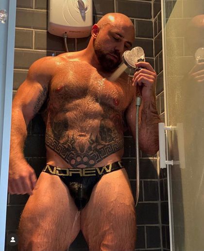 thebritishbear1 OnlyFans picture