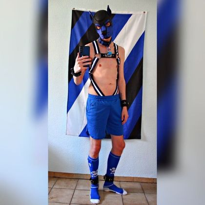 homopinguin OnlyFans picture