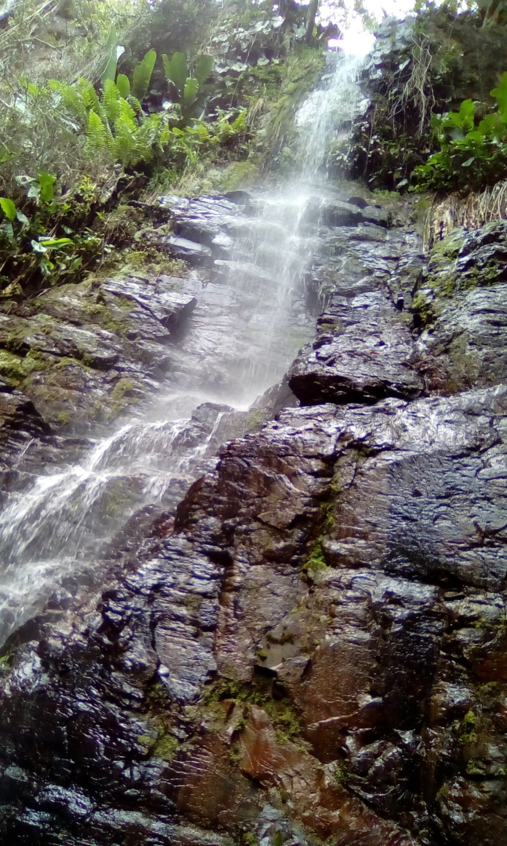 mrcustom OnlyFans profile picture