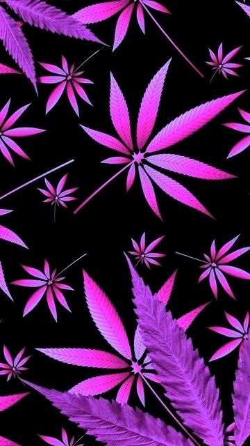 southernbunny420 OnlyFans profile picture