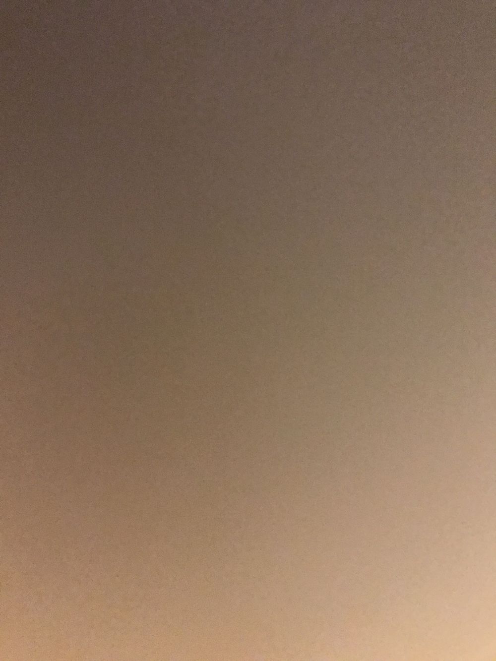 shazbaz OnlyFans profile picture