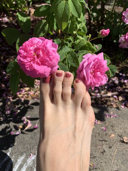 sage-sole OnlyFans picture