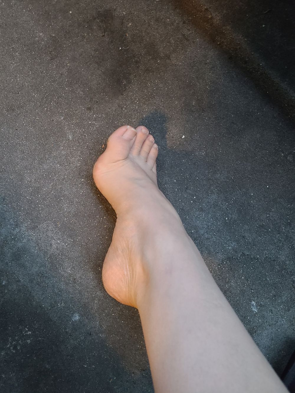u246700885 OnlyFans profile picture