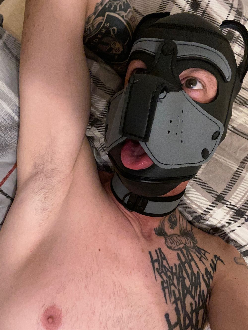 rykerthepup OnlyFans profile picture