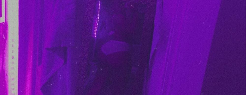 mingluchronicles OnlyFans profile picture