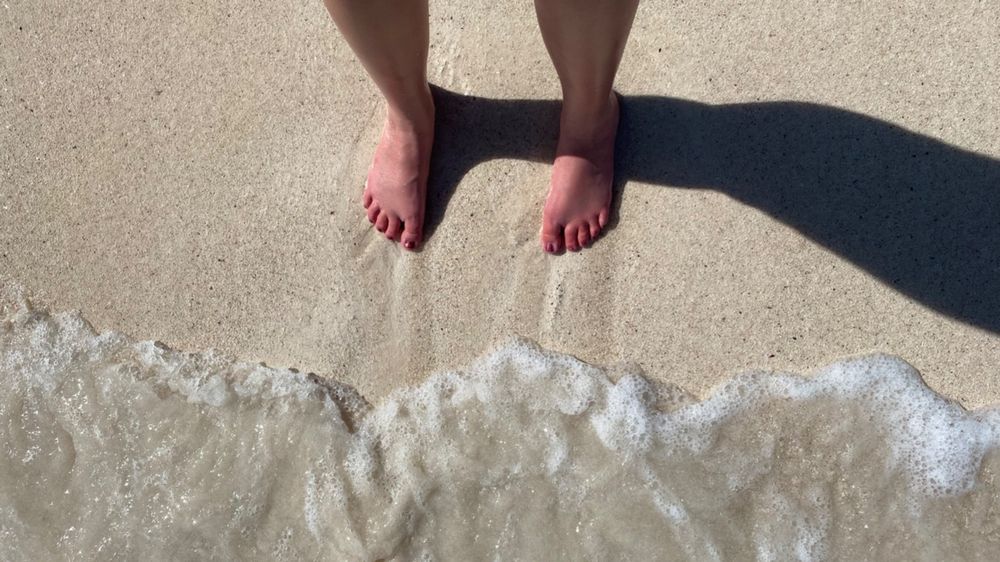 toastytoes.queen OnlyFans profile picture