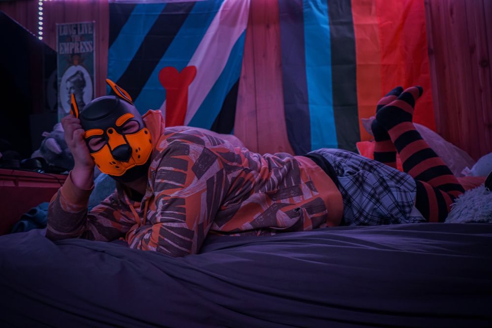 lovesickcanine OnlyFans profile picture