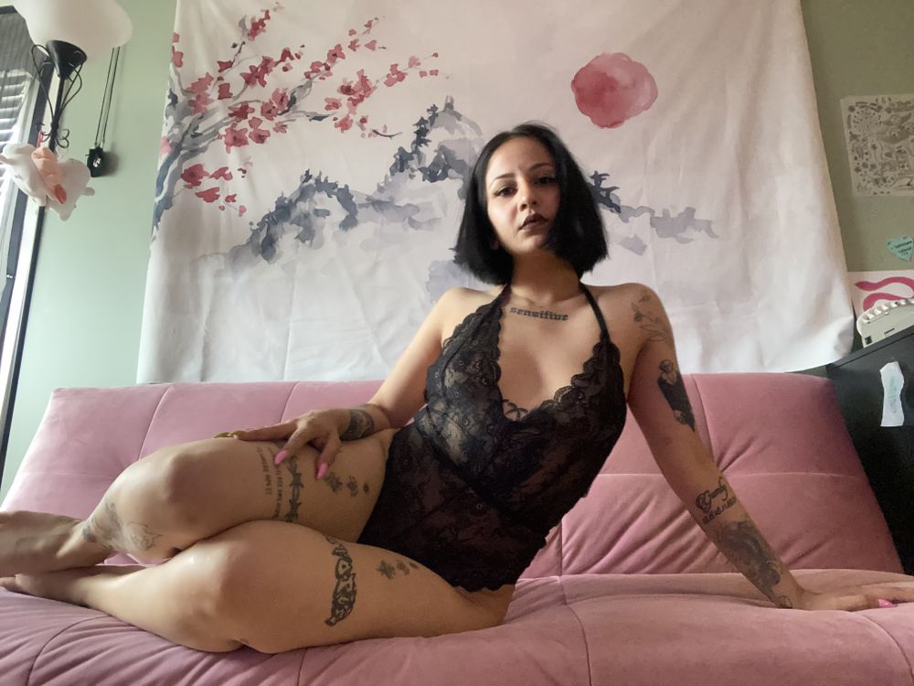 tahbibionlyfans OnlyFans profile picture