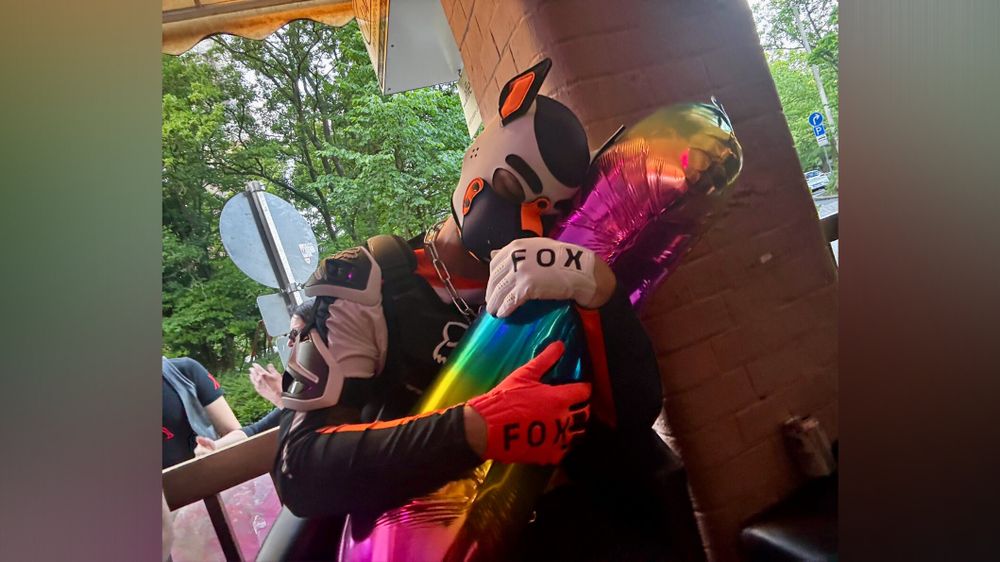 huskysnow OnlyFans profile picture