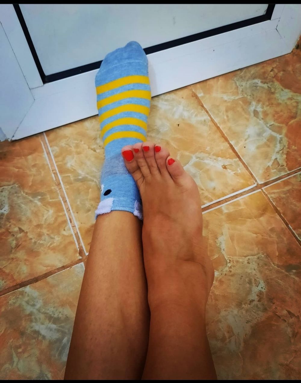 feetiesoftheforest OnlyFans profile picture