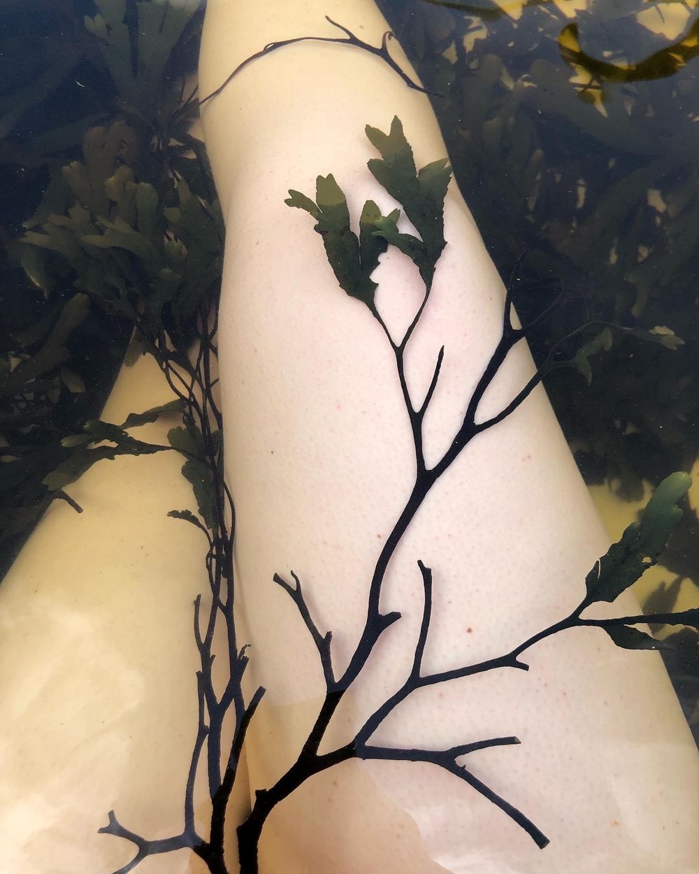 earthgrrl OnlyFans profile picture