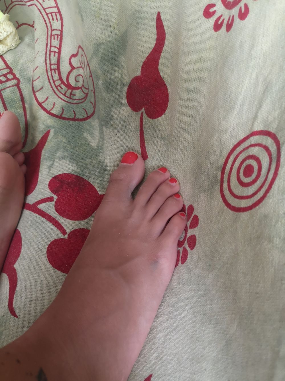 alba.1234 OnlyFans profile picture