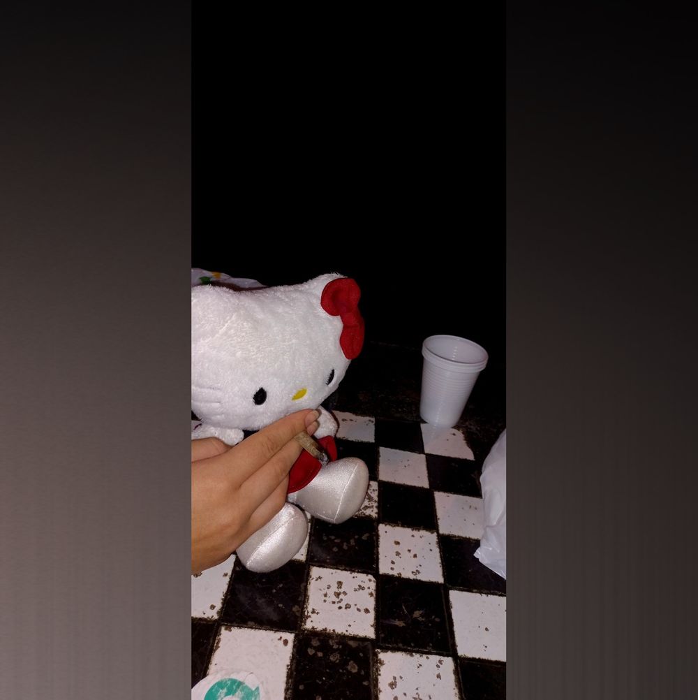 kittyg12 OnlyFans profile picture
