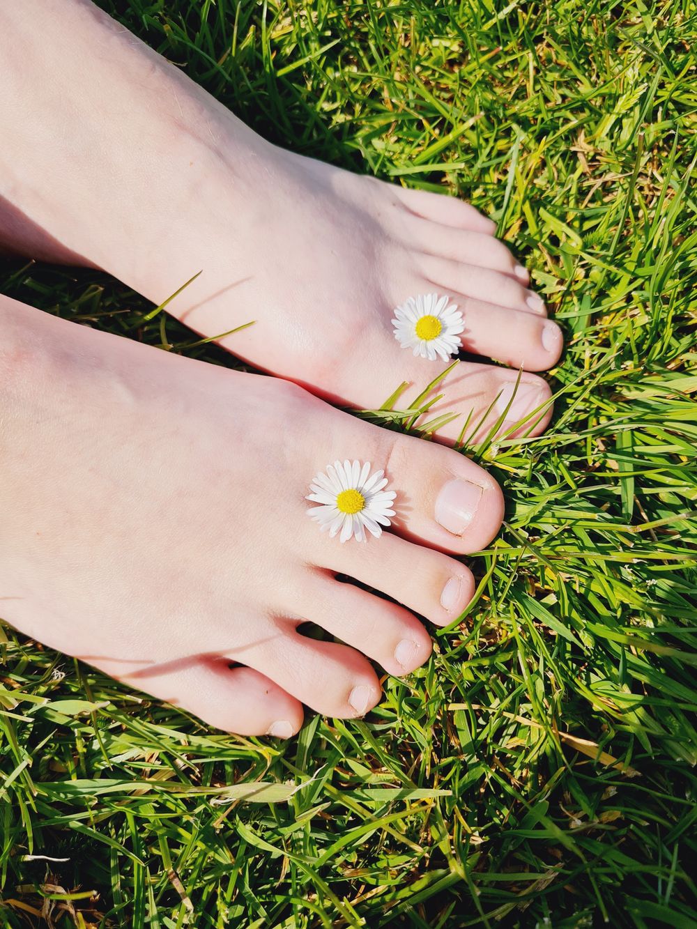 princess-twinkletoes OnlyFans profile picture