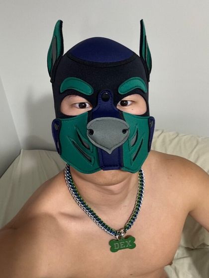 lockedpupdex OnlyFans picture