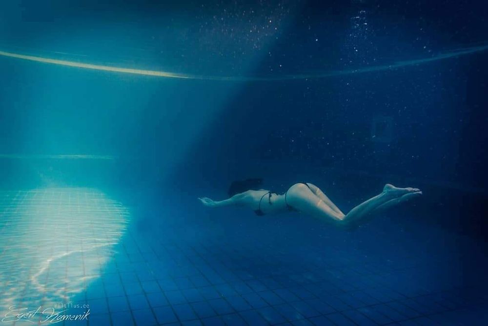 freedivingonly OnlyFans profile picture