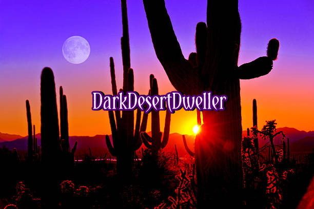 darkdesertdweller OnlyFans profile picture