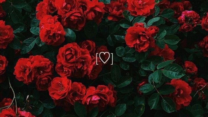 phantomblxdes OnlyFans profile picture