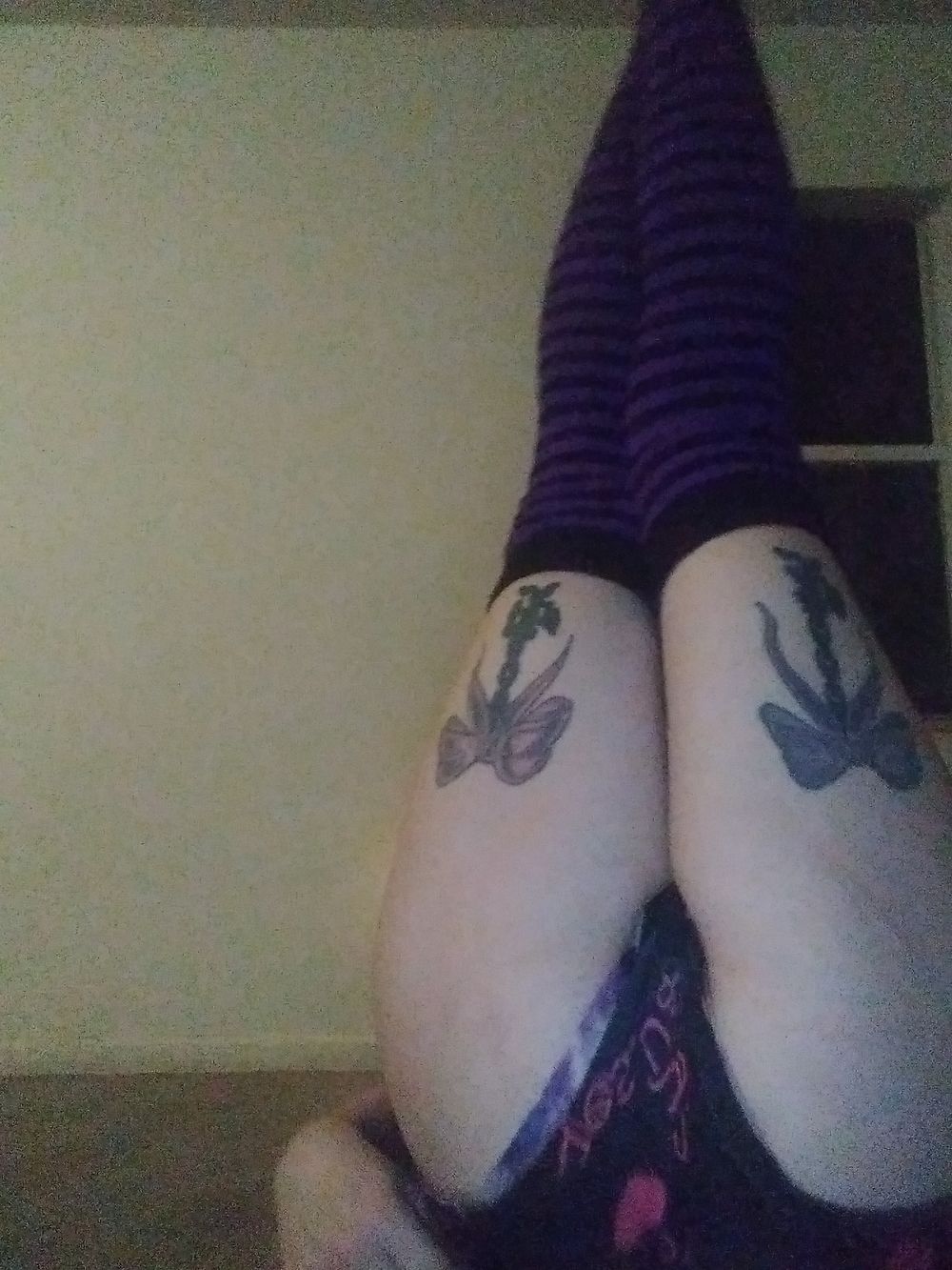 kitten37 OnlyFans profile picture