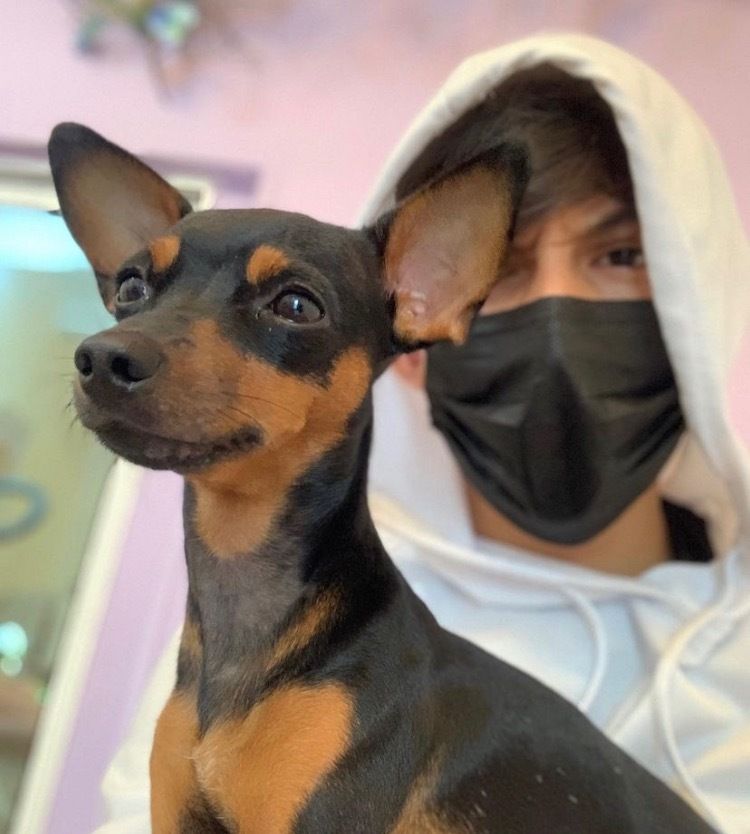 nicolas_shade OnlyFans profile picture