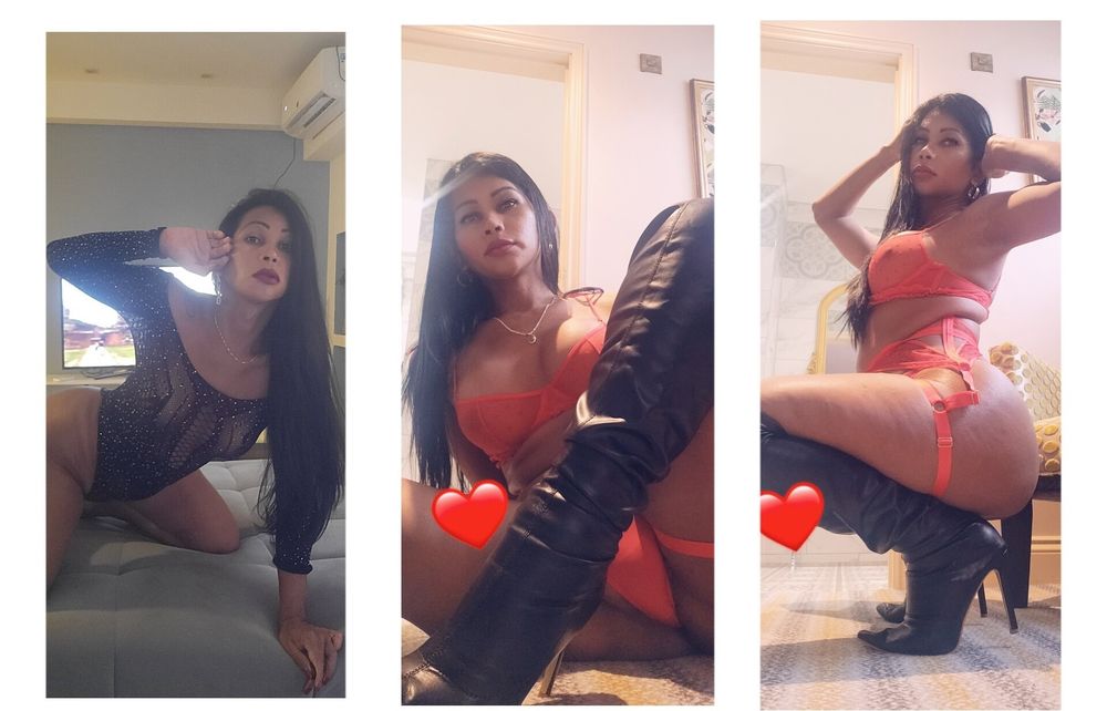 stephanyfox OnlyFans profile picture