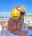 sandy_cheeks143 profile picture