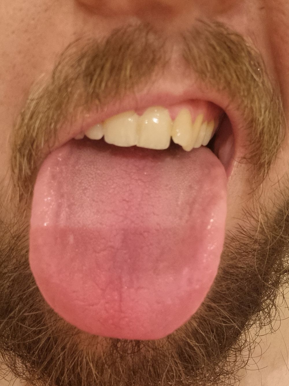 giantboo OnlyFans profile picture