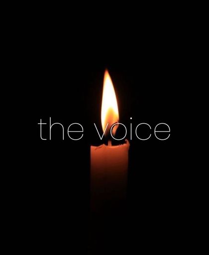thevoicesofthhealers OnlyFans picture