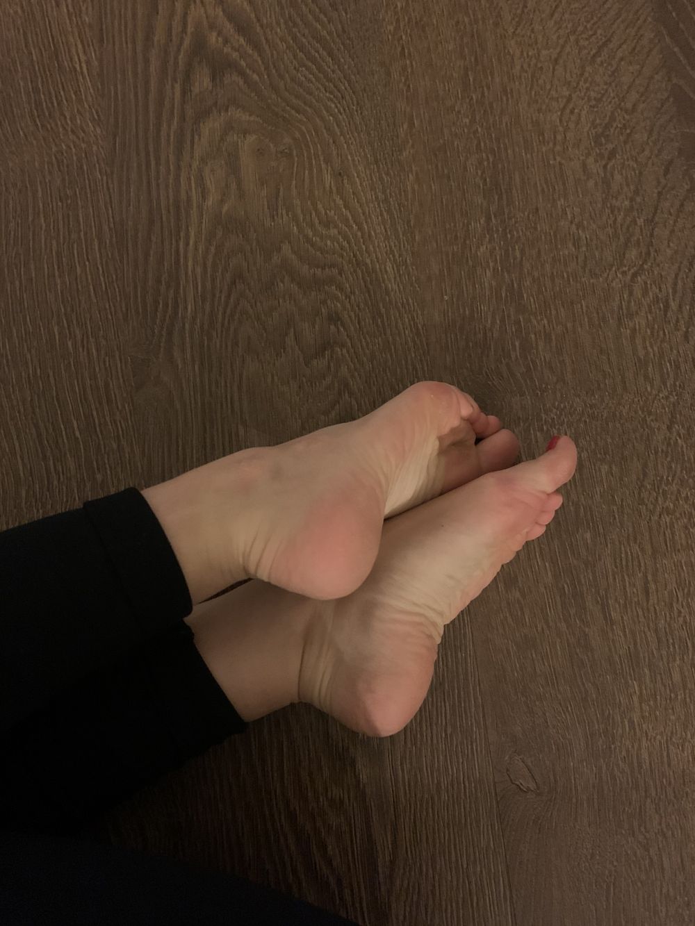giorgiefeet OnlyFans profile picture