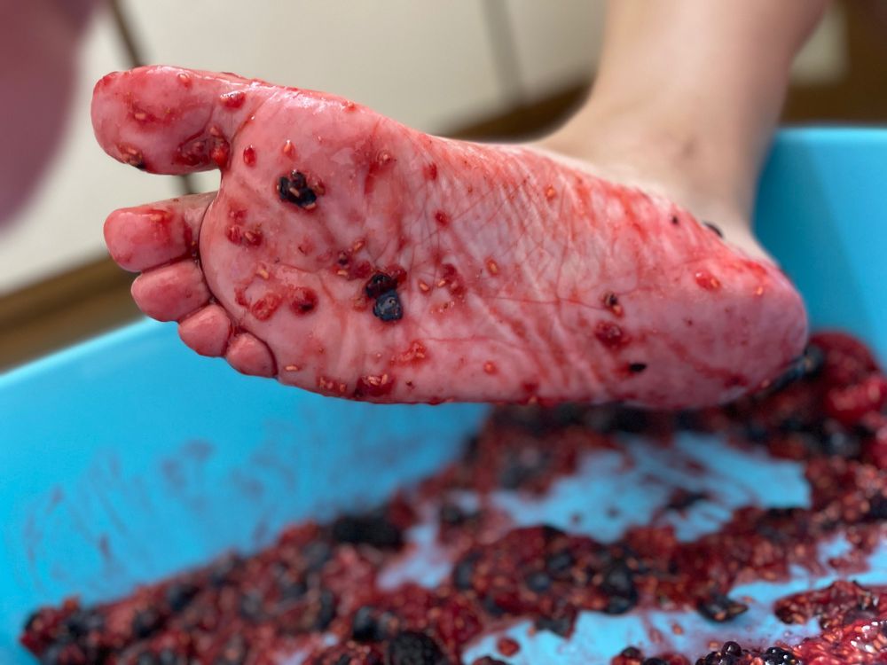 gravytoebeans OnlyFans profile picture