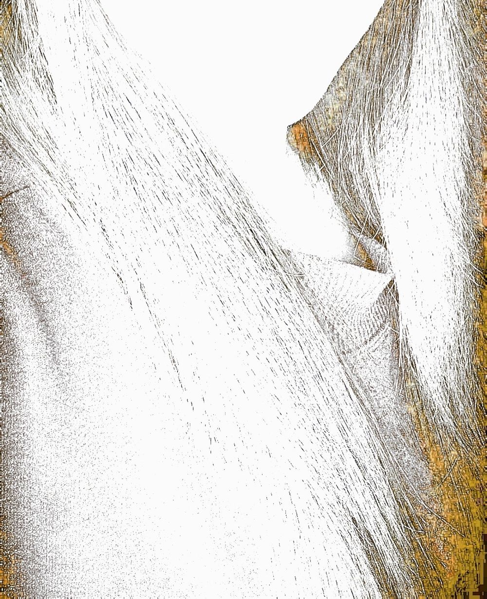 u246840200 OnlyFans profile picture