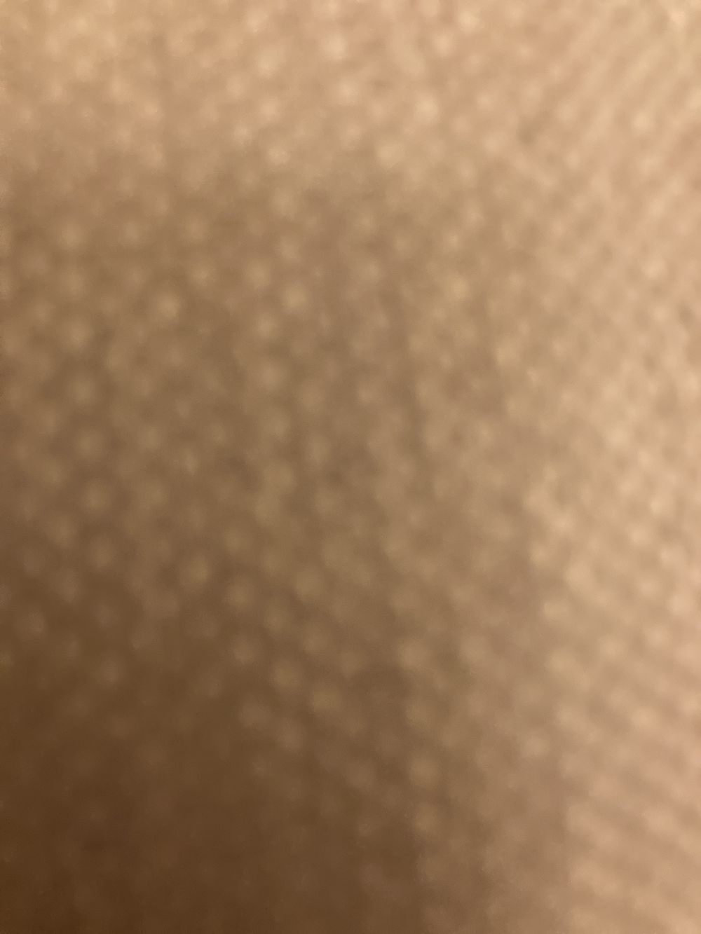 secretshf1 OnlyFans profile picture