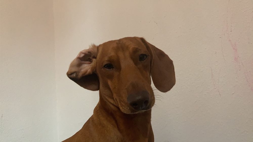 tittytittori OnlyFans profile picture