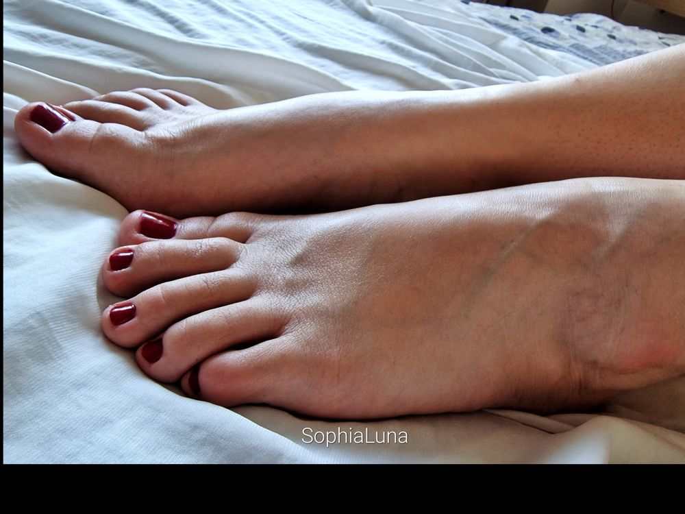 sophialuna321 OnlyFans profile picture