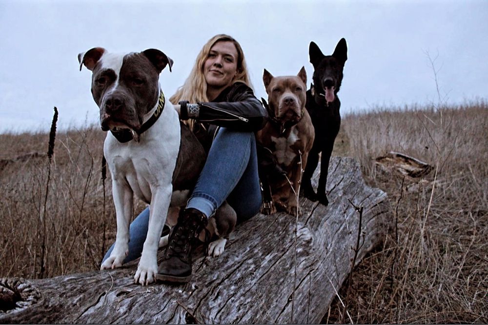 abitchandherhounds OnlyFans profile picture