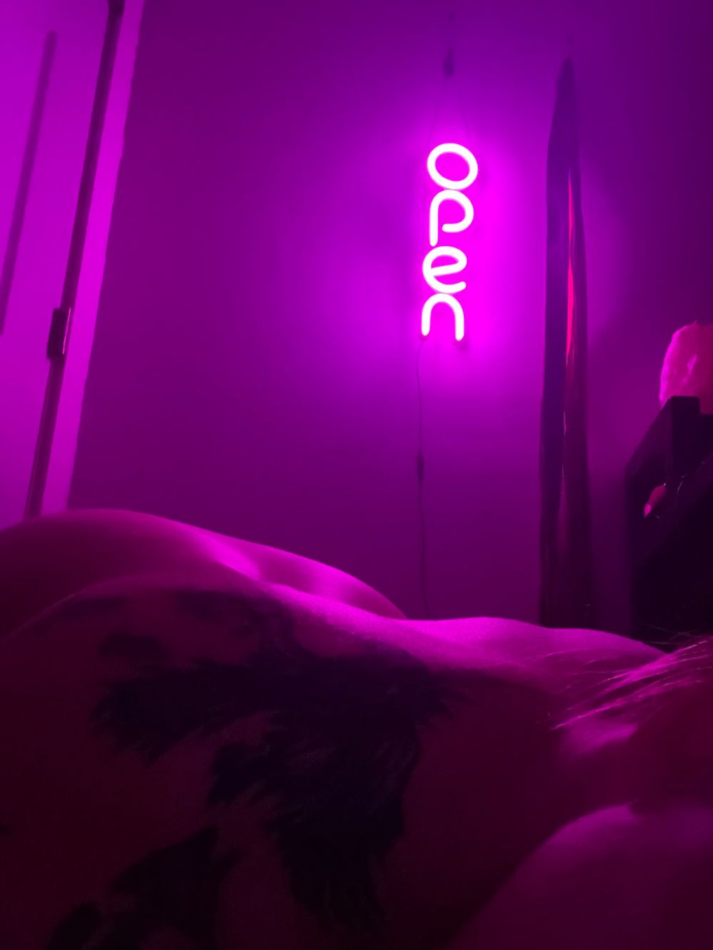 alice_as_glassss OnlyFans profile picture