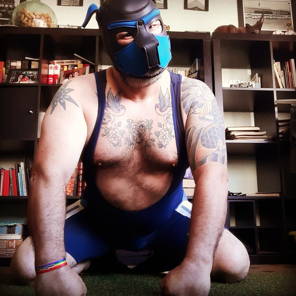 olaffthepup OnlyFans profile picture