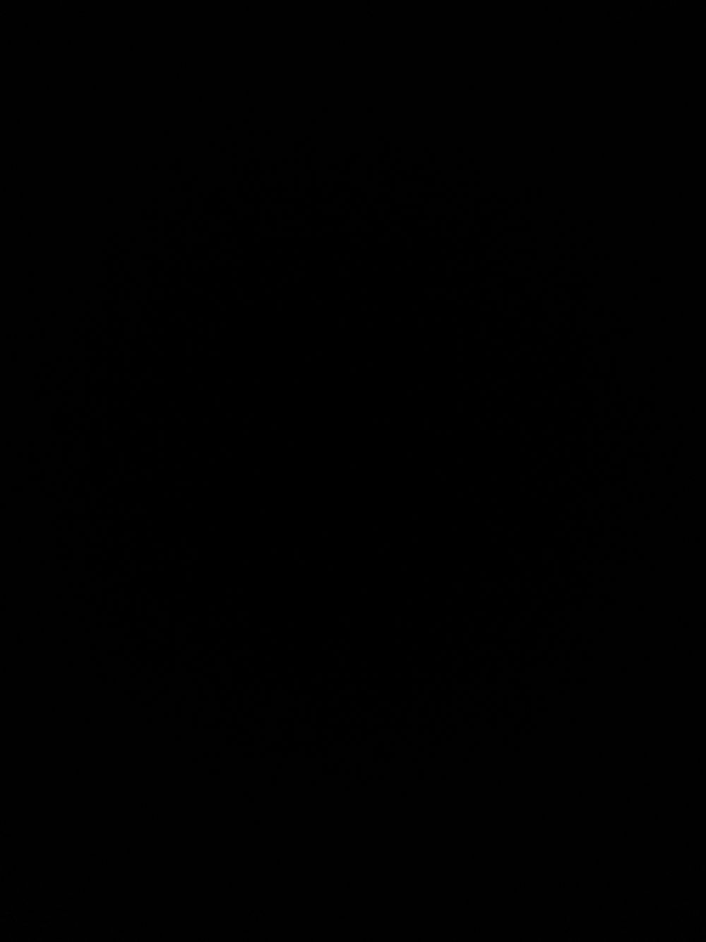 noface111 OnlyFans profile picture