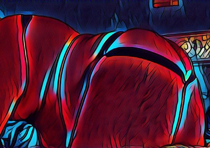 clbttmchub OnlyFans profile picture