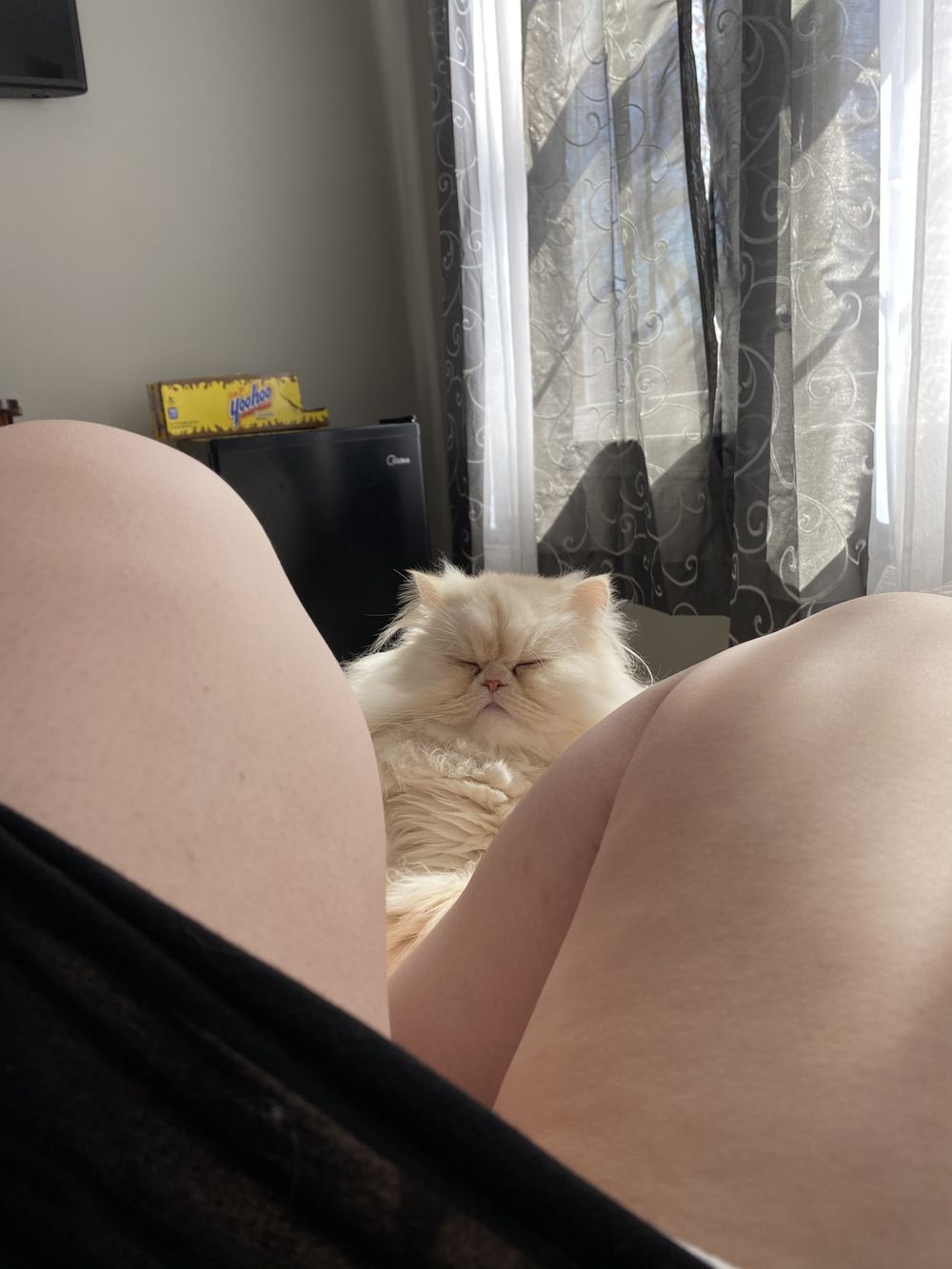 u131566462 OnlyFans profile picture