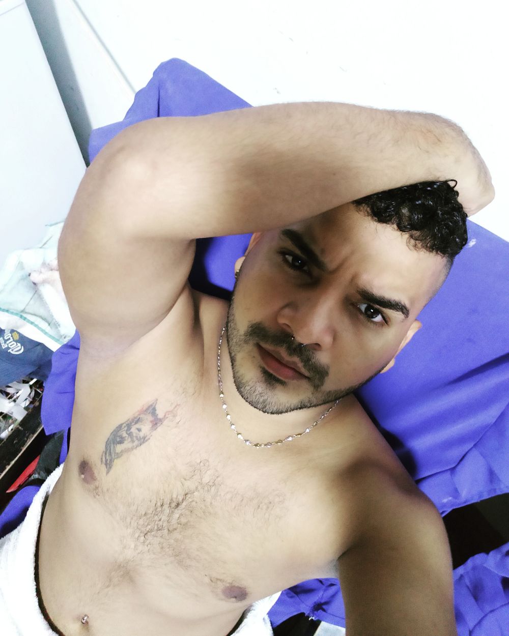 emiliobouvierfox OnlyFans profile picture