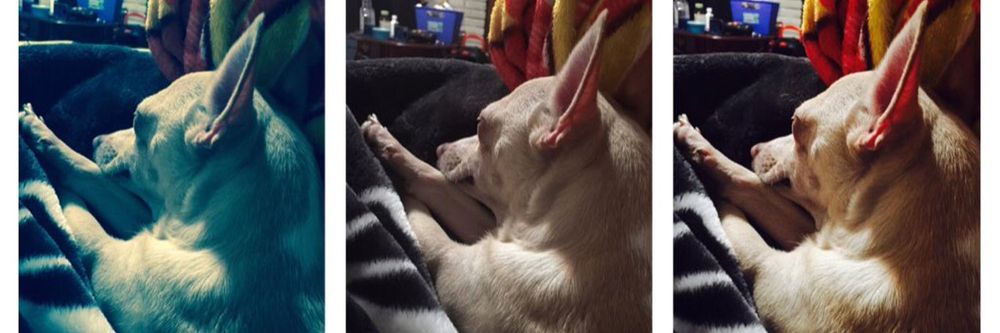 foul_mouthed_karma OnlyFans profile picture