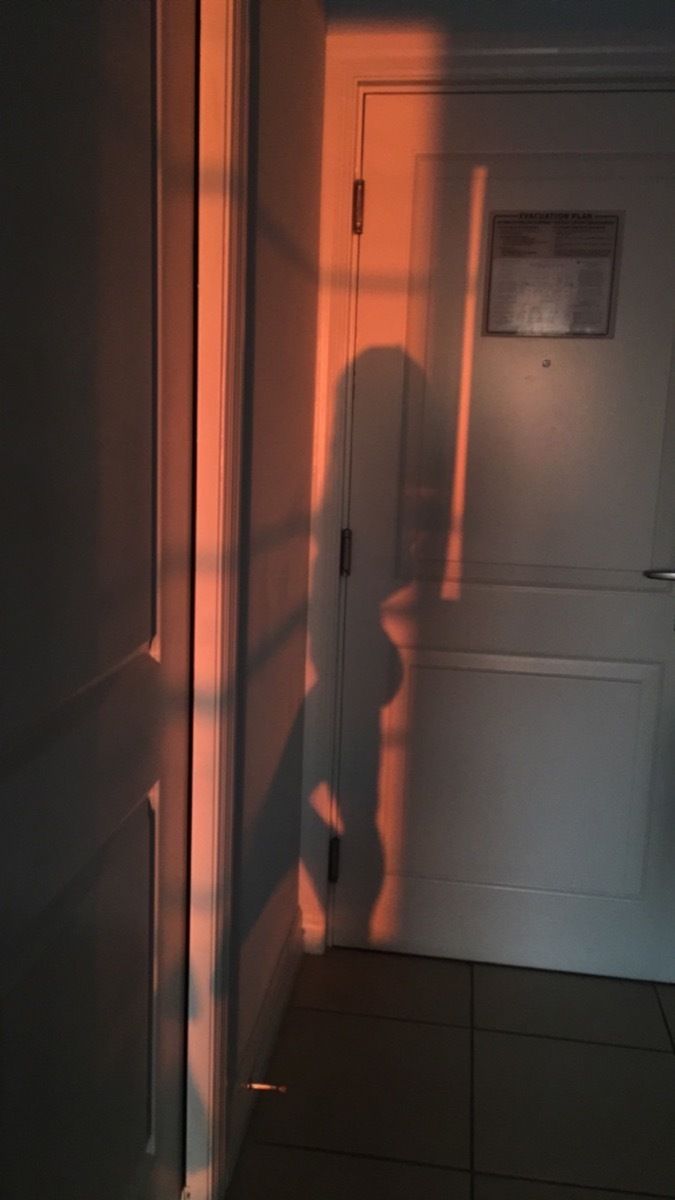 felicityshagwelllll69 OnlyFans profile picture
