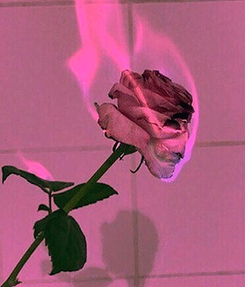 jijofcia OnlyFans profile picture