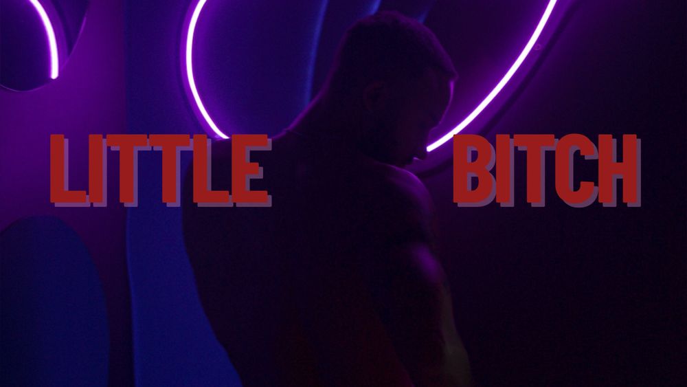 littlebitchsexy OnlyFans profile picture